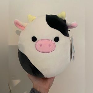 8” Connor squishmallow !!